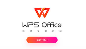 WPS插件推荐：提升办公效率的工具合集